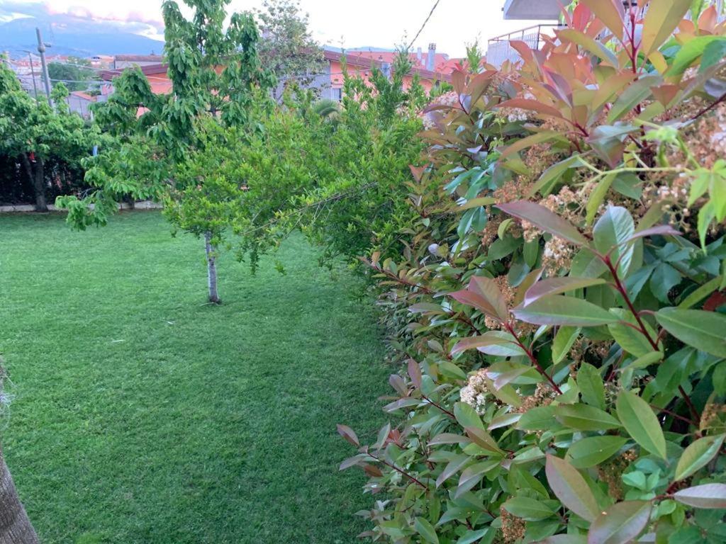 B&B The Garden Pescara Bagian luar foto